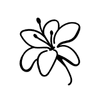Елиминира бактериите